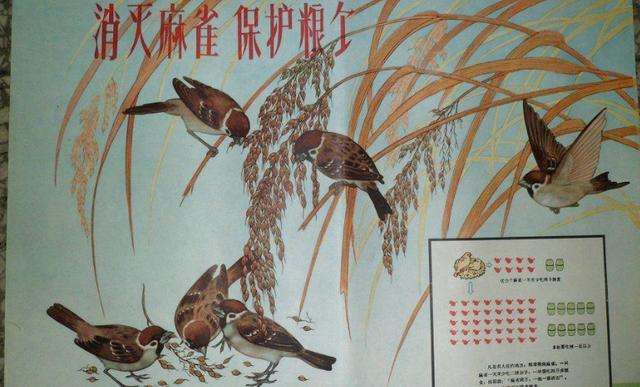 ȫ���c�ġ����ĺ����\(y��n)��(d��ng)������