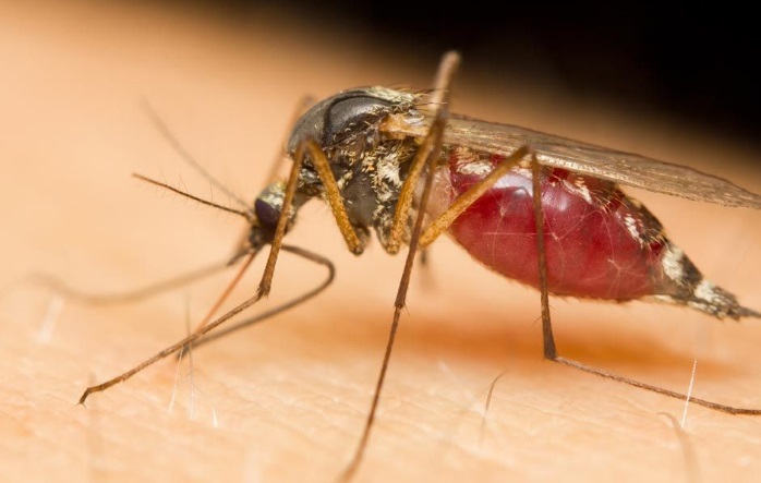 �ĺ�ָ���ķN����֮�nω������